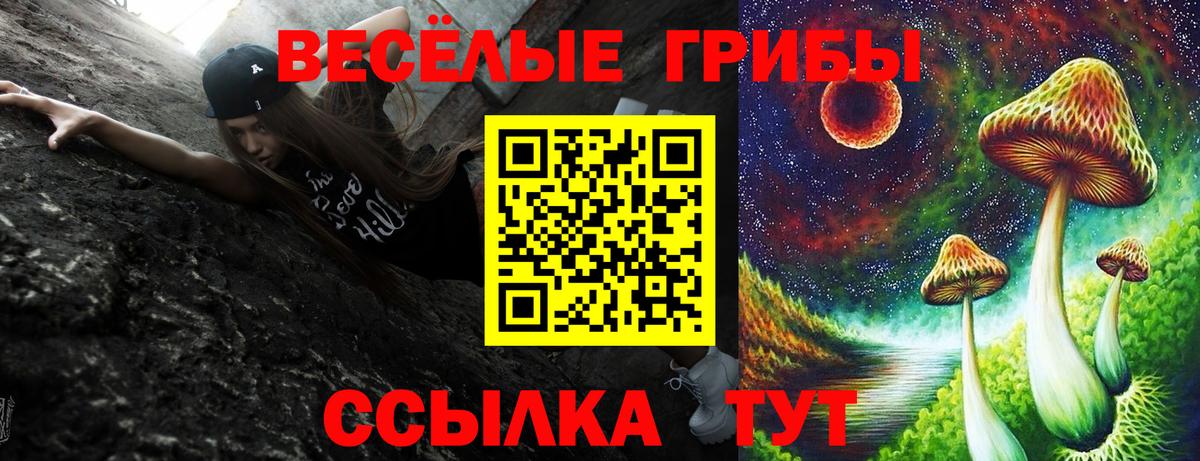 Псилоцибиновые грибы Psilocybe Кстово