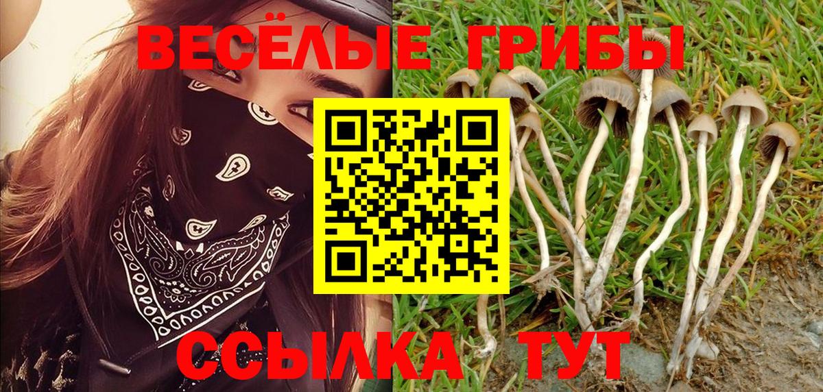 Псилоцибиновые грибы Psilocybe  Вход с VPN  Галлюциногенные грибы мухоморы  Кстово 
